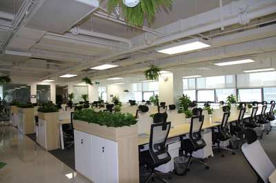 互联网技术浪潮中的坚实基石 自考本科网络工程专业深度解析与技术咨询