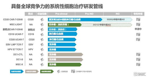 从单点突破到生态构建 中国生物科技服务（08037.HK）——临床驱动的细胞治疗与中国策略的技术转让新逻辑