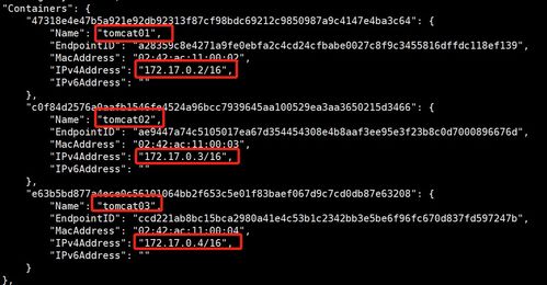 Docker网络详解 Java开发者的技术咨询